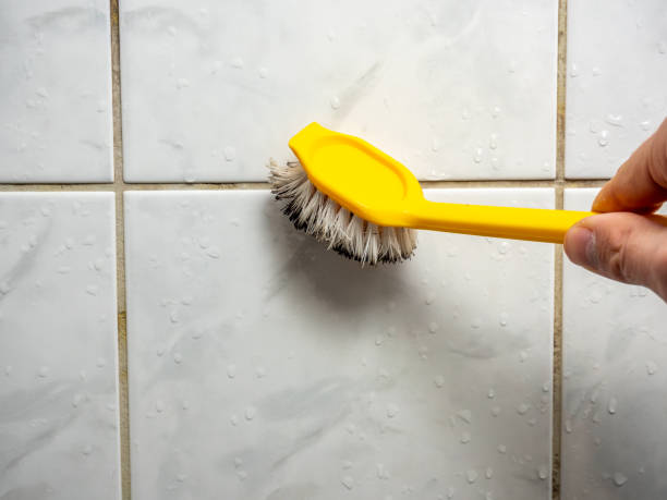 Best Certified Mold Removal  in De Pere, WI